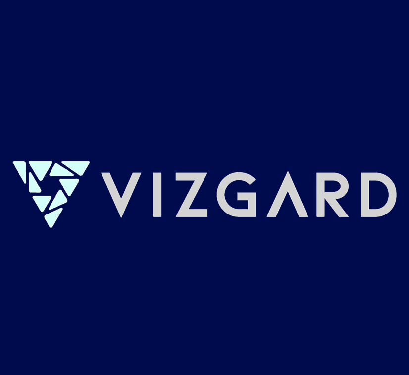 Web Logo Vizgard